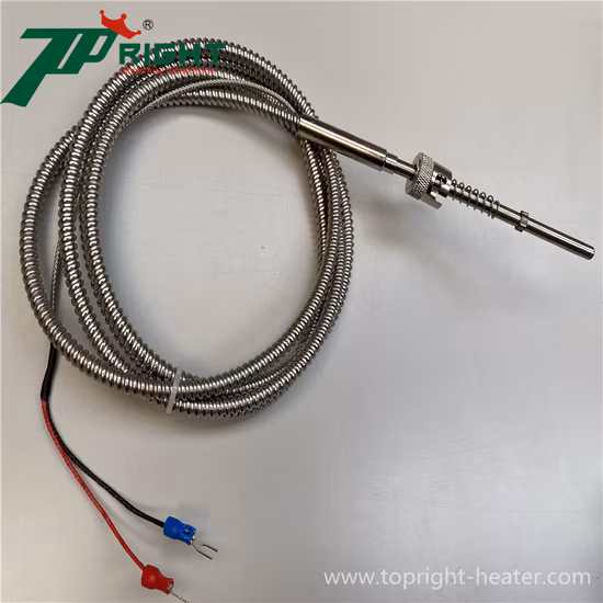 Sonde de haute précision du capteur de température PT100 d'industrie de sonde d'acier inoxydable